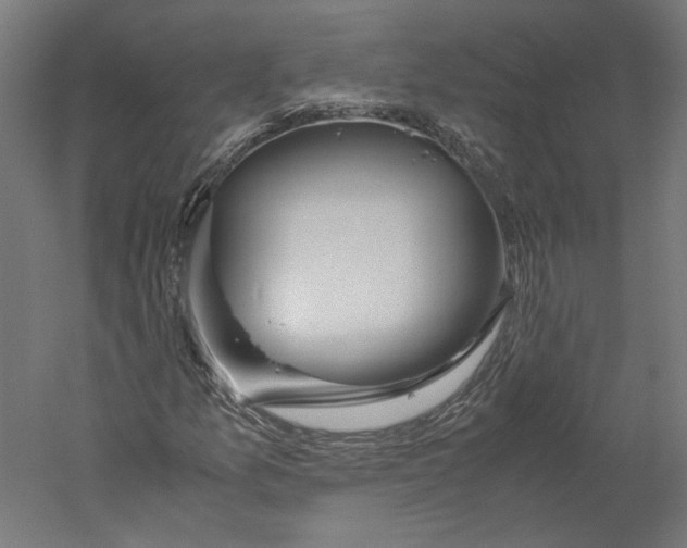 X0000060231157200511241259