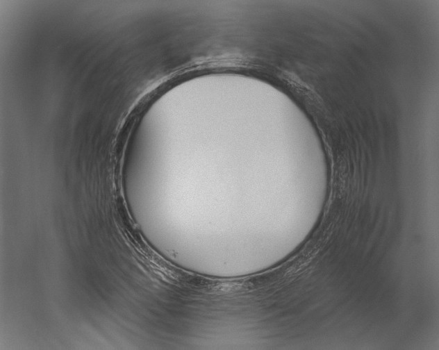 X0000060231166200511241259