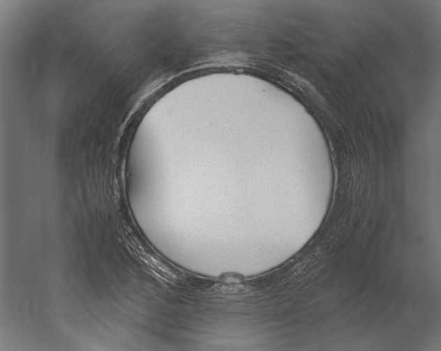 X0000060231168200511241259