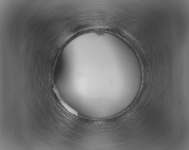 X0000060231169200511241258
