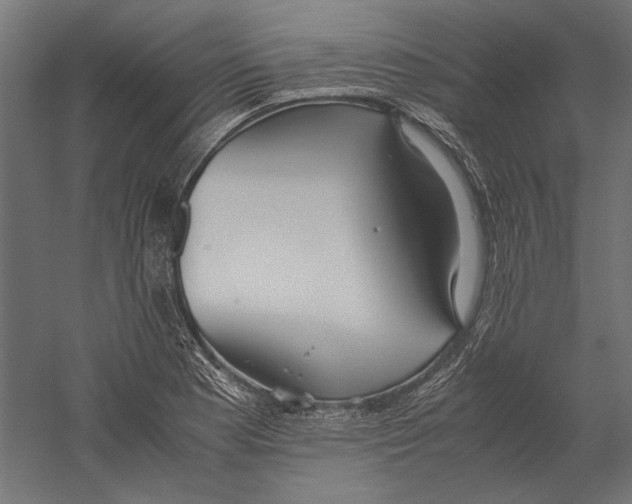 X0000060231177200511241258