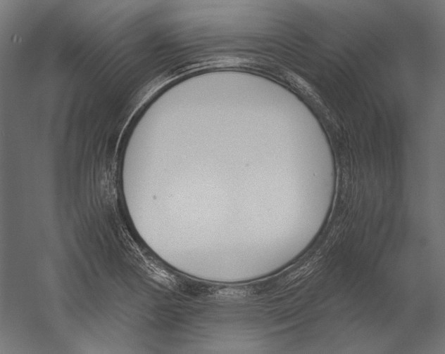 X0000060231178200511241258