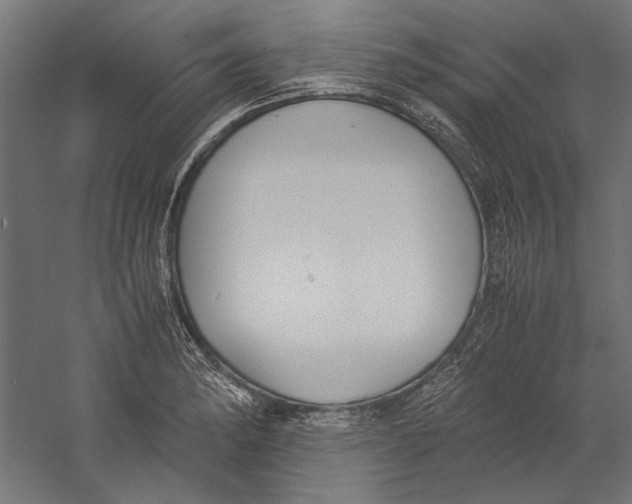 X0000060231182200511241258