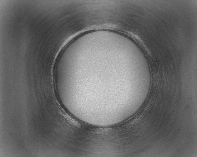 X0000060231184200511241258