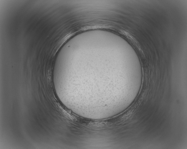 X0000060231185200511241258