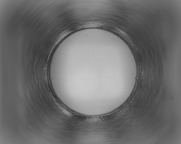 X0000060231186200511241258