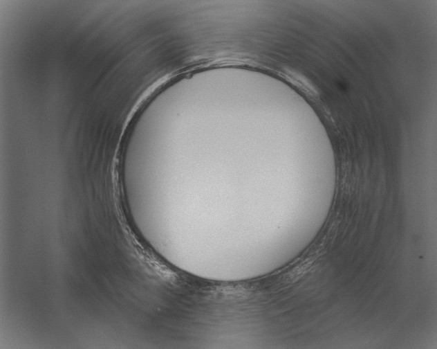 X0000060231190200511241258