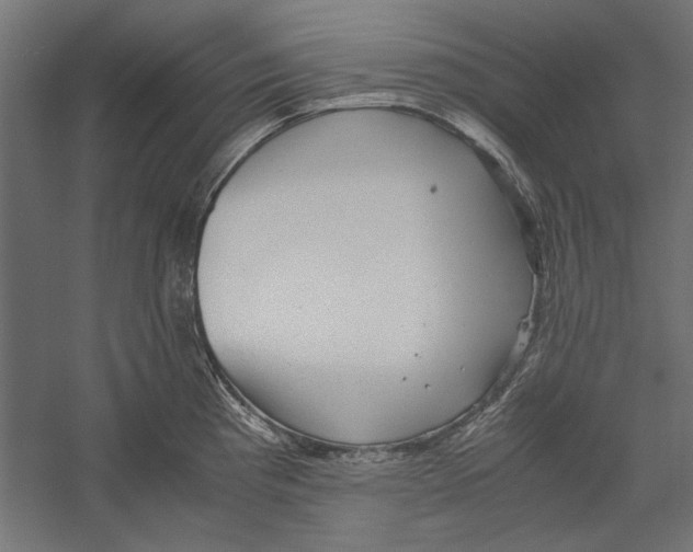 X0000060231193200511241258