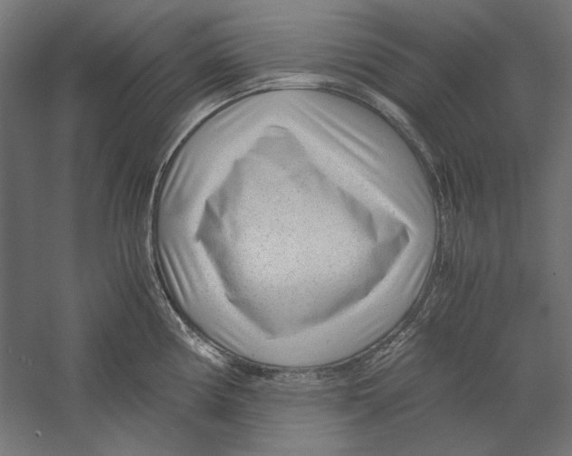 X0000060231194200511241258