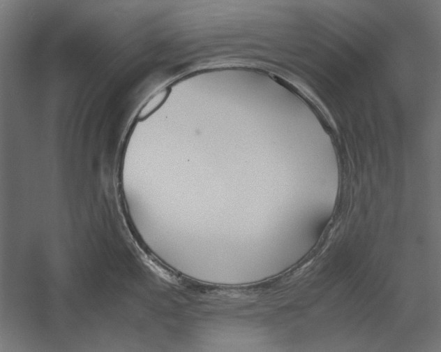 X0000060231197200511241258