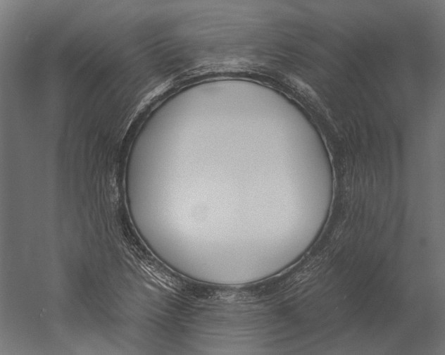 X0000060231218200511241257