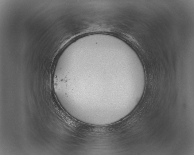X0000060231220200511241257