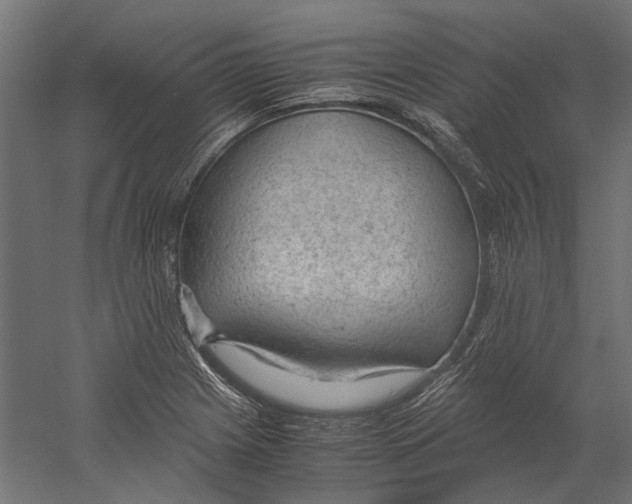 X0000060231225200511241258