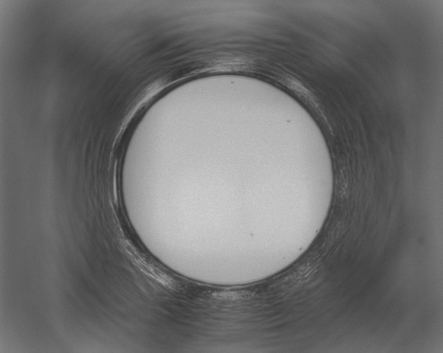 X0000060231227200511241258