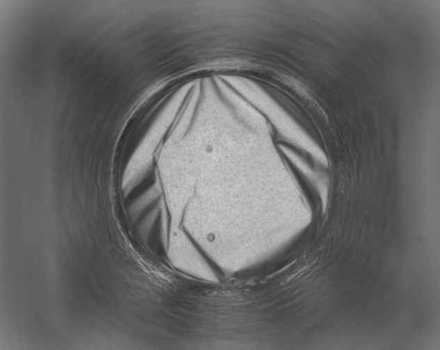 X0000060231229200511241258