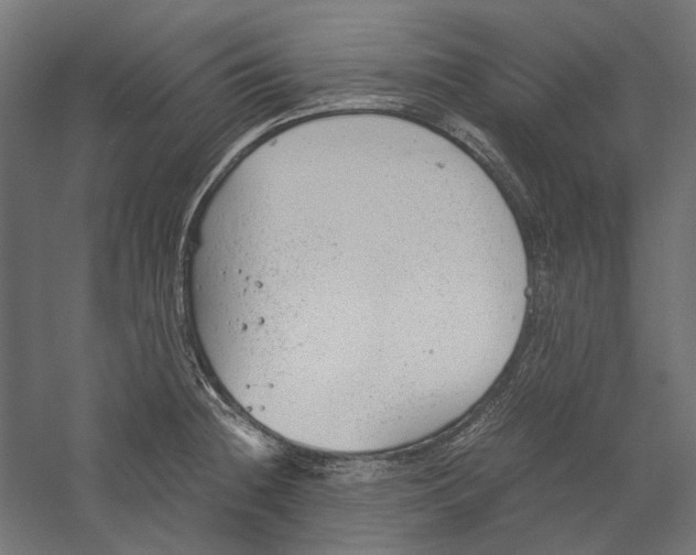 X0000060231236200511241258