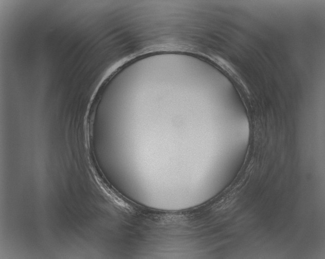 X0000060231238200511241258