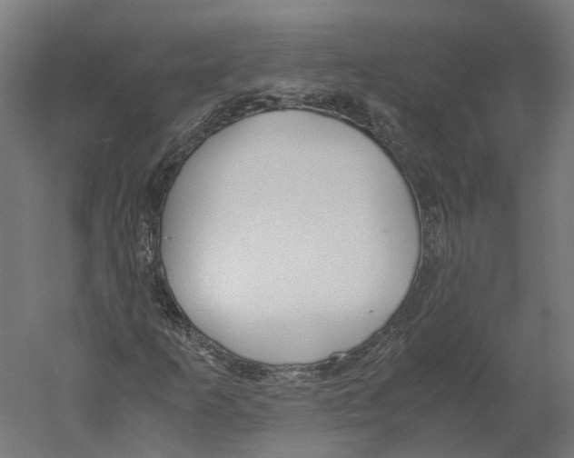 X0000060231253200511241257