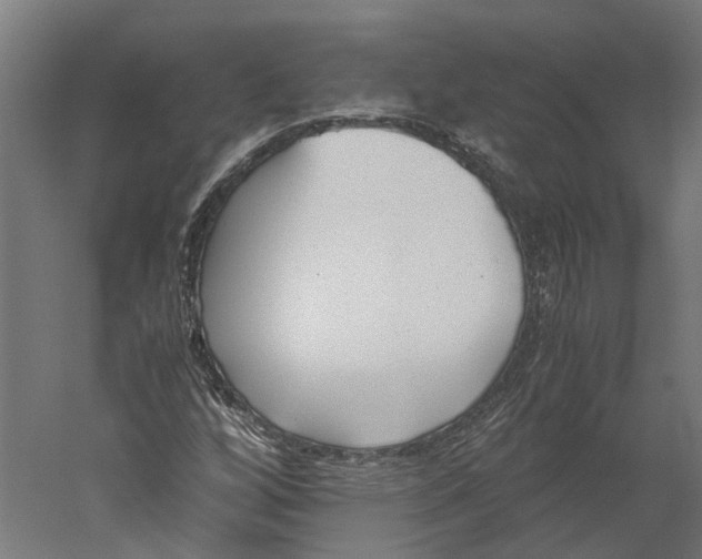 X0000060231256200511241257