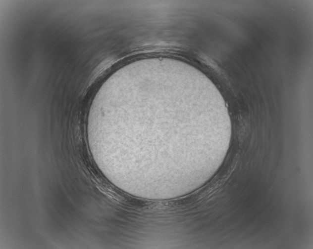 X0000060231259200511241257