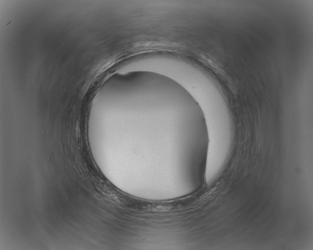X0000060231261200511241257