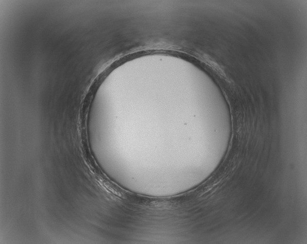X0000060231264200511241257