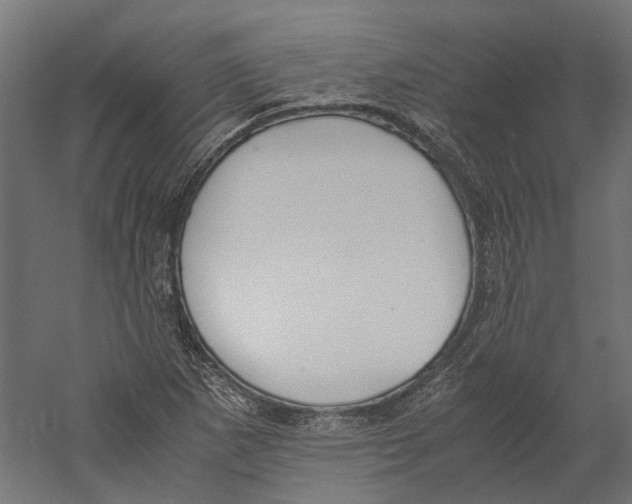 X0000060231265200511241257