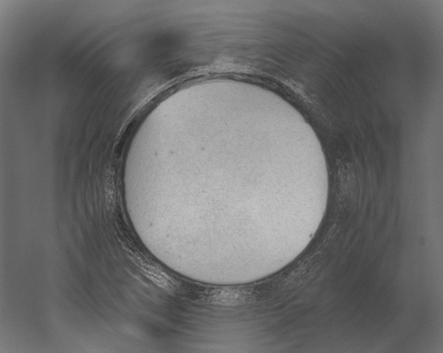 X0000060231266200511241257