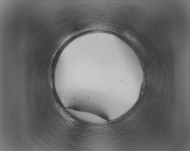 X0000060231272200511241257