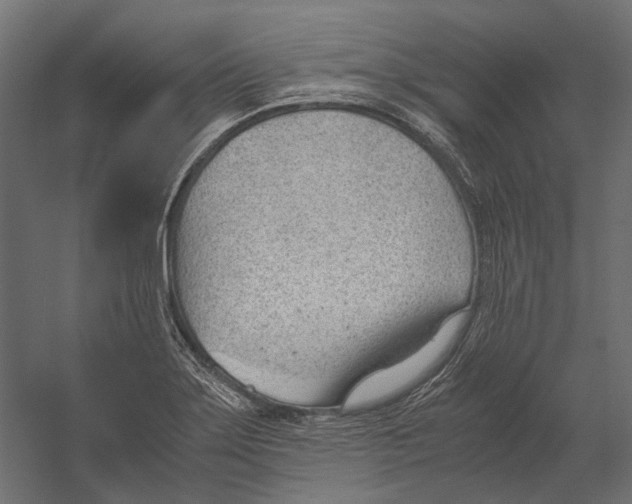 X0000060231275200511241257