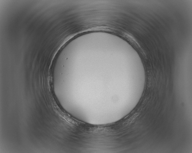 X0000060231284200511241256