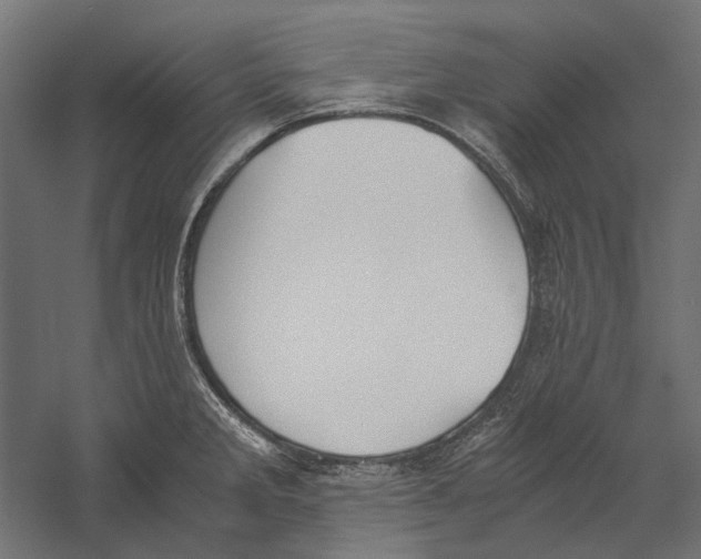 X0000060231285200511241256