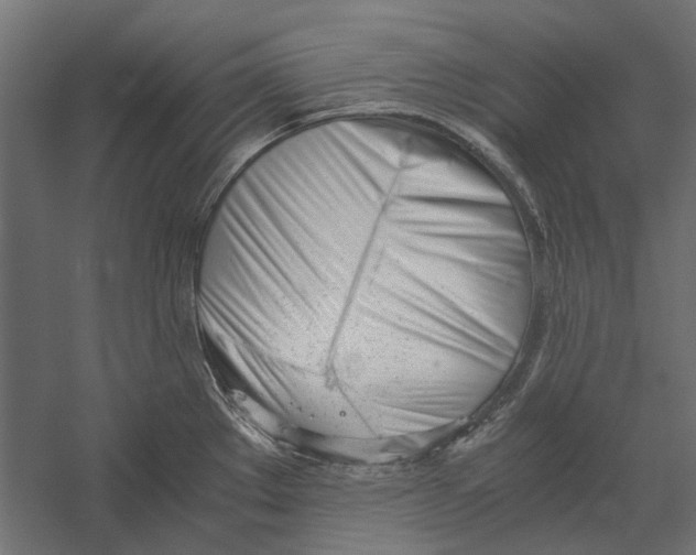 X0000060231289200511241256
