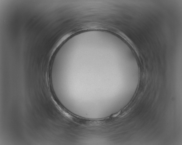 X0000060231293200511241256