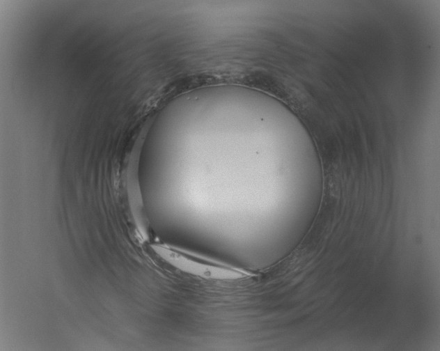 X0000060231298200511241255