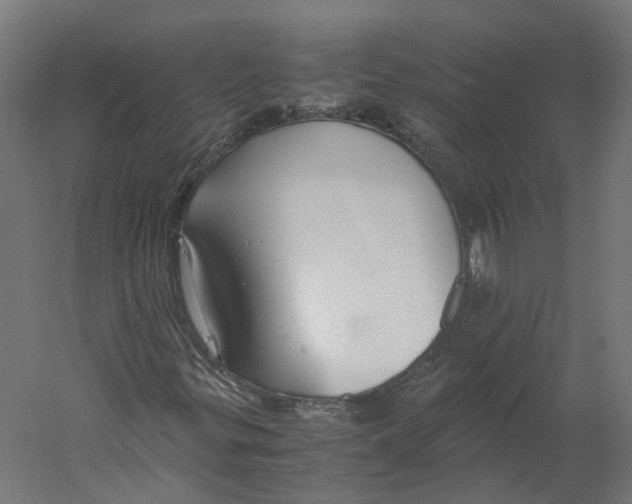 X0000060231299200511241255