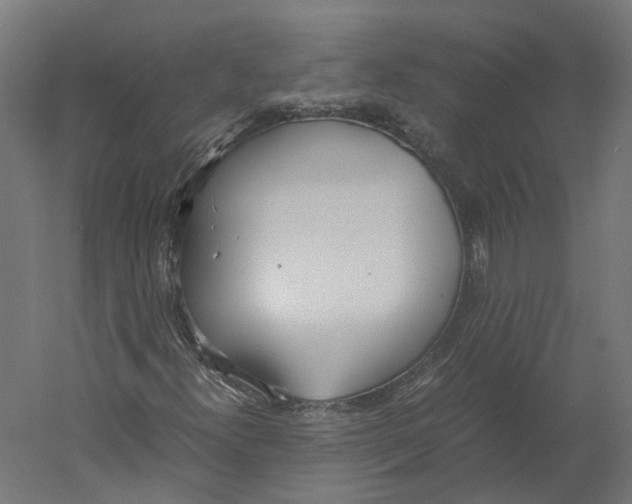 X0000060231300200511241256