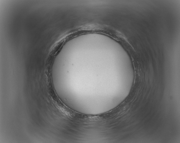 X0000060231304200511241256