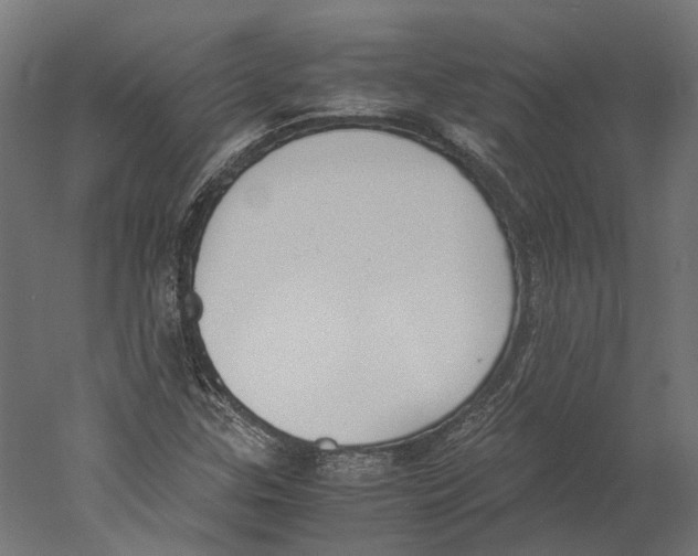 X0000060231307200511241256