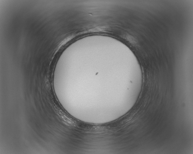 X0000060231308200511241256