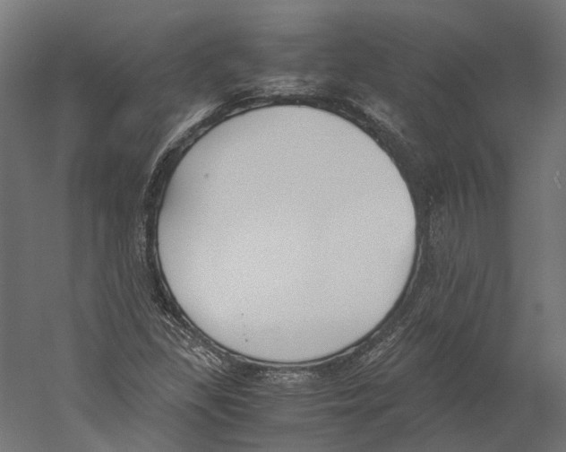 X0000060231309200511241256