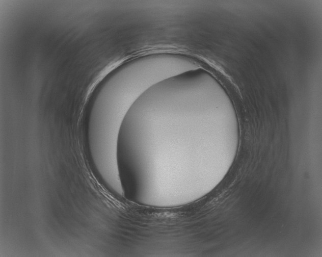 X0000060231317200511241256
