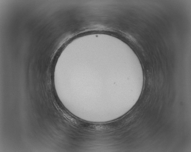 X0000060231318200511241256