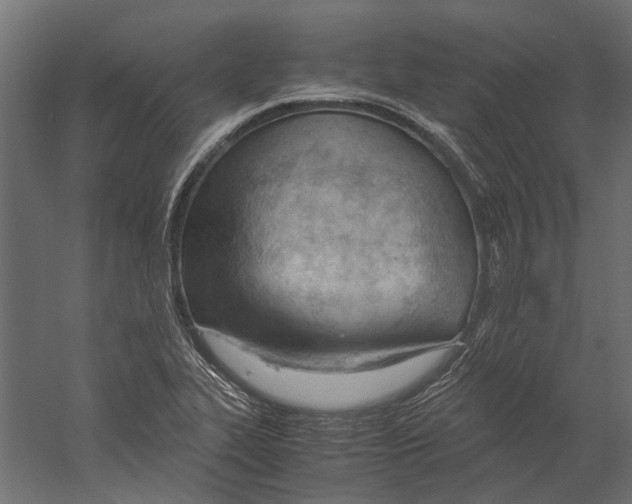 X0000060231319200511241256
