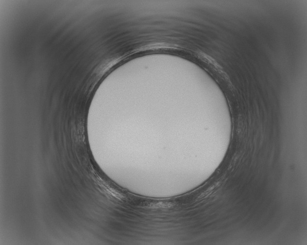X0000060231321200511241256