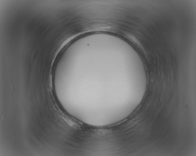 X0000060231324200511241256