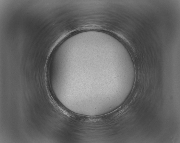 X0000060231325200511241256