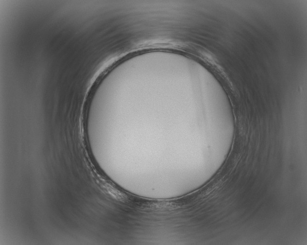 X0000060231328200511241256