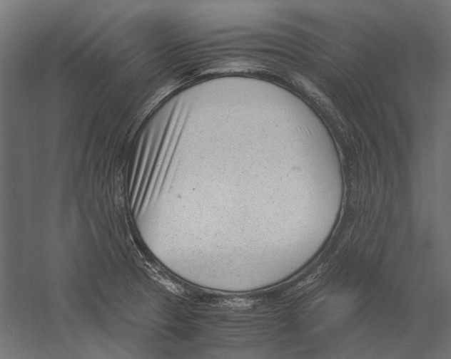 X0000060231329200511241256