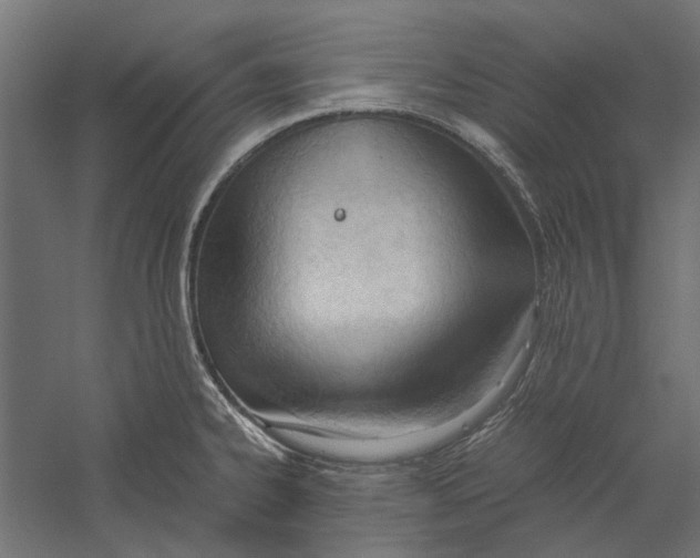 X0000060231334200511241256